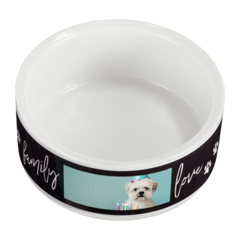 Pet Products Collection