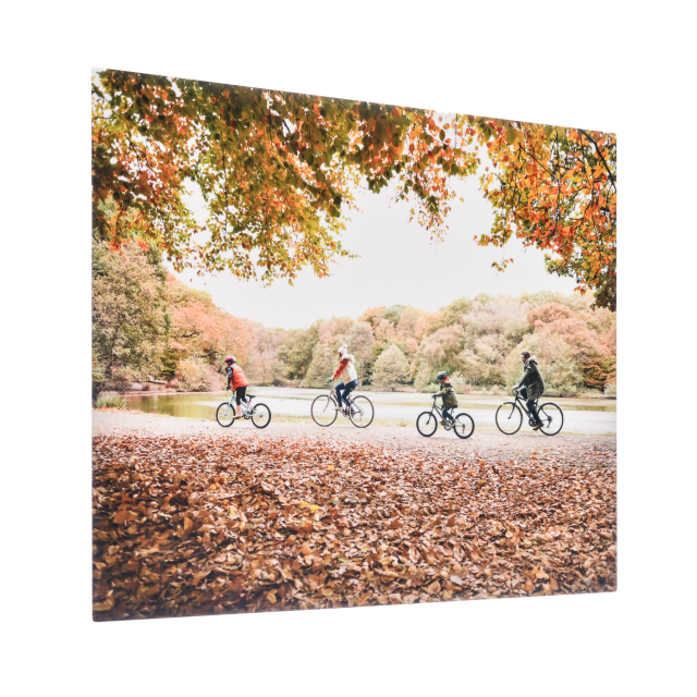 Metal Prints Nixplay Digital Frames