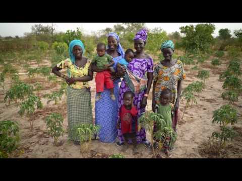 Seed for a seed family