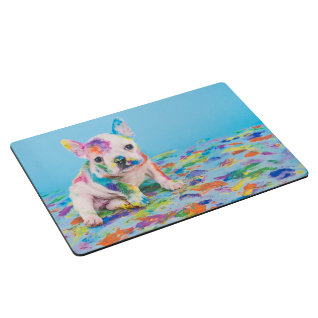 Pet Mat