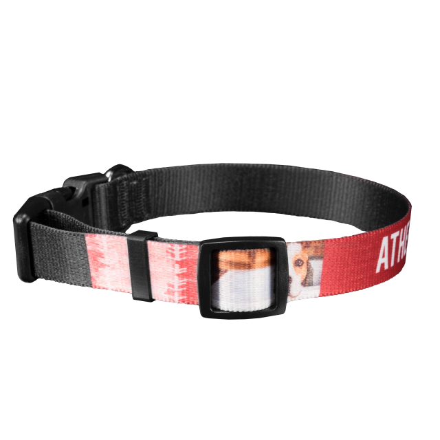 Pet Collar