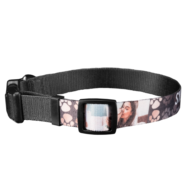 Pet Collar