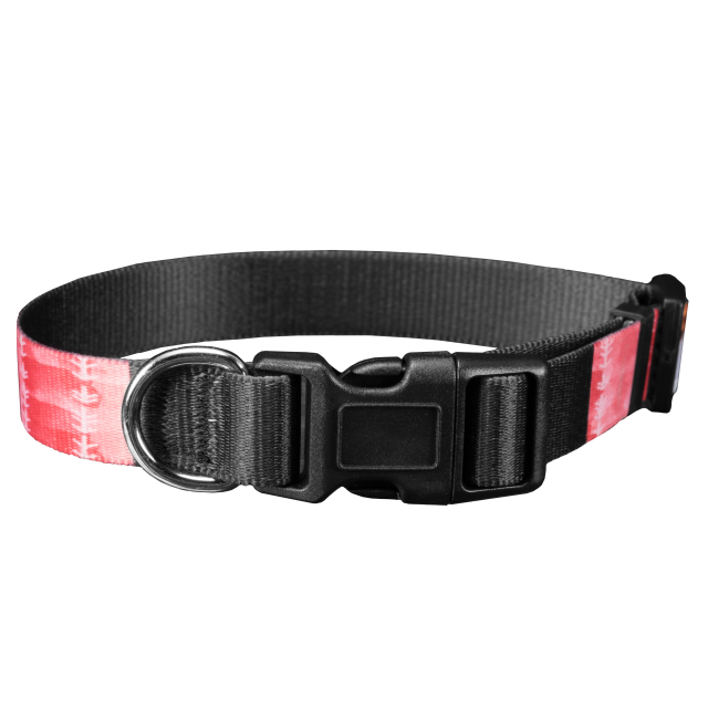 Pet Collar