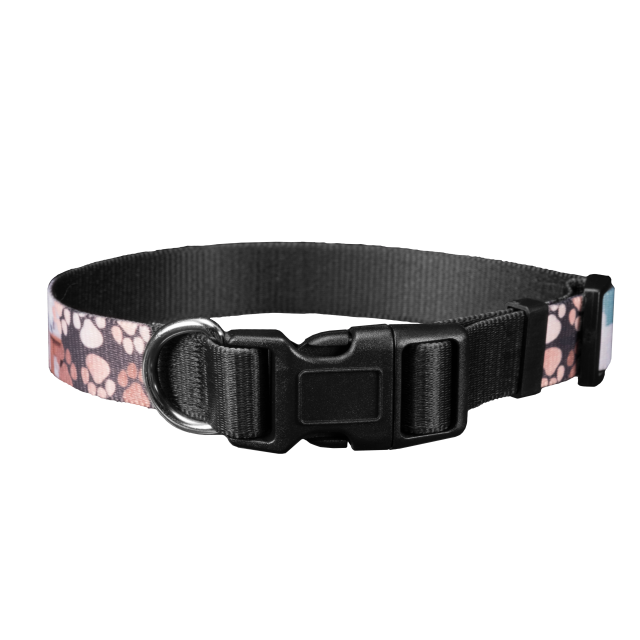 Pet Collar