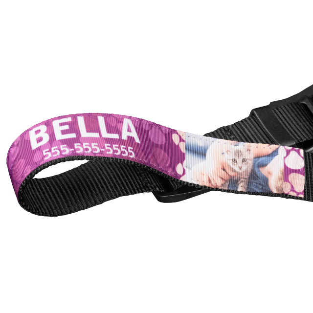 Pet Collar