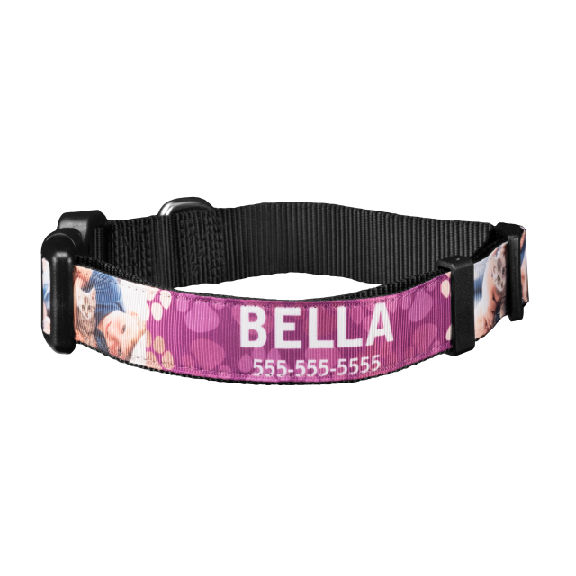 Pet Collar