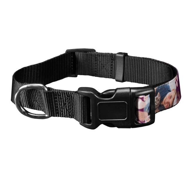 Pet Collar