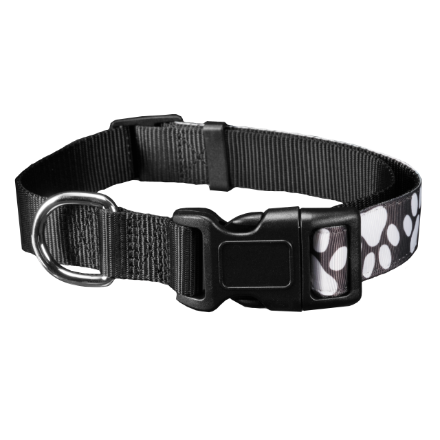 Pet Collar