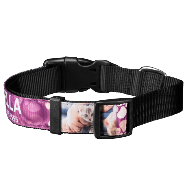 Pet Collar