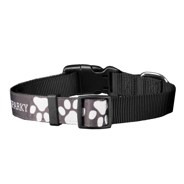 Pet Collar